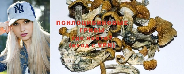 таблы Алексеевка